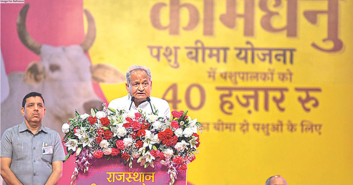 Govt’s policies are giving relief to animal herders, farmers: Gehlot